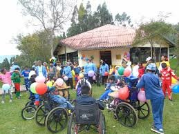 Ley 1145 de 2007