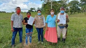 Decreto Ley 4635 de 2011