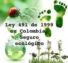 Ley 491 del 1999