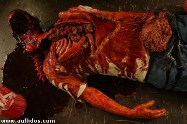 Wars Plagued Europe for 90 yrs.