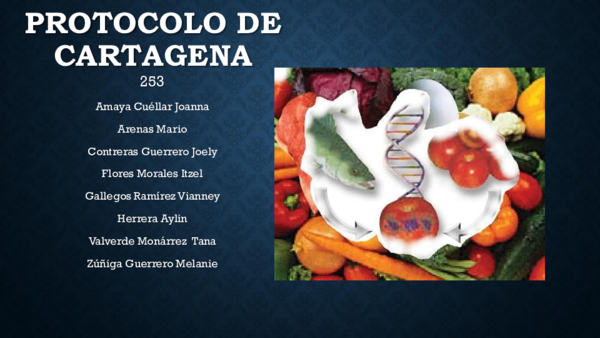 Hito 11 protocolo de Cartagena.