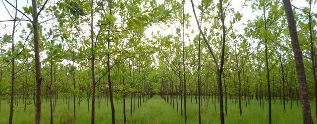 Ley 1252 del 2008 y Decreto 1498 de 2008