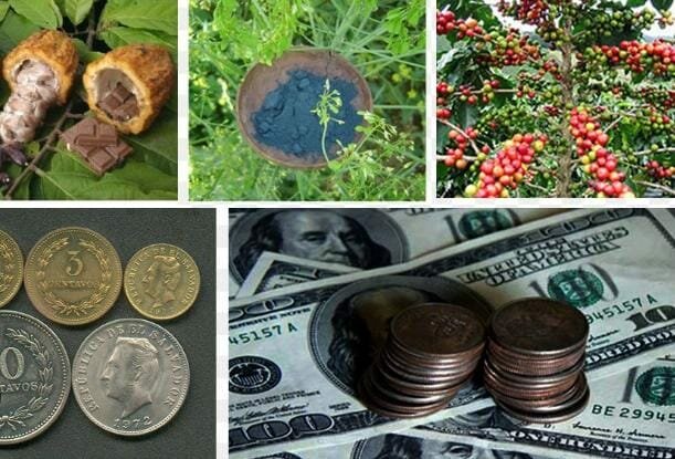 El desarrollo de la economía