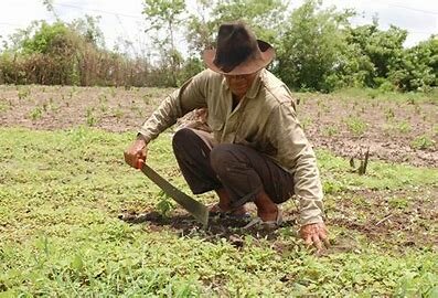 Resistencia Armada de campesinos 1964