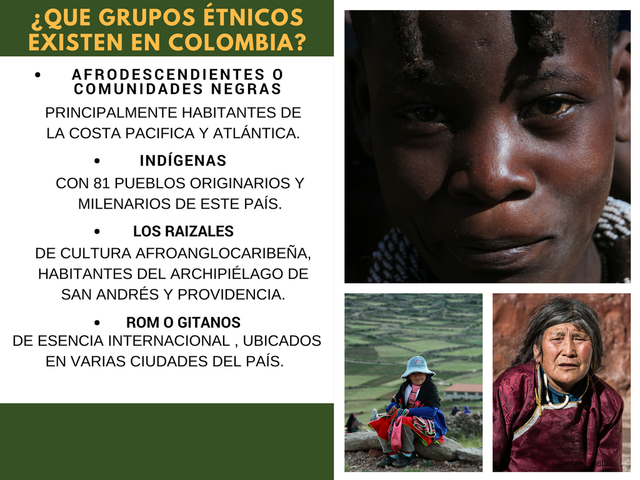 Grupos étnicos afrodescendientes, indígenas o ROM