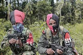surgimiento del (ELN)