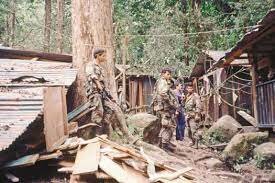 Operacion casa verde