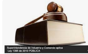 Ley 1395