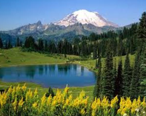 DECRETO 1715  (agosto 4)