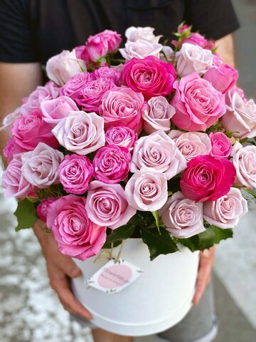 მასწავლებლების წარდგენა