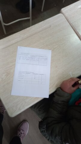 მოსწავლეების მიერ ესეს დაწერა