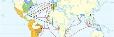 Quin paper va fer el comerç colonial en els canvis econòmics