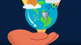 Timeline: პროექტის მიმდინარეობა