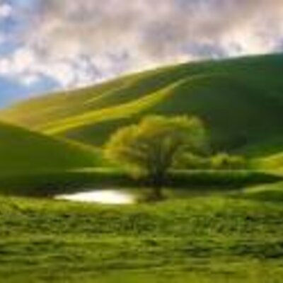 Timeline: პროექტი