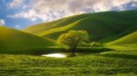 Timeline: პროექტი