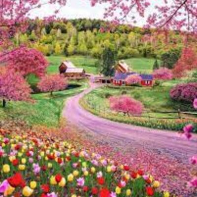 Timeline: პროექტი