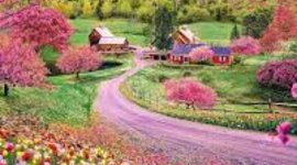 Timeline: პროექტი