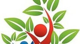 Timeline: პროექტის აქტივობები