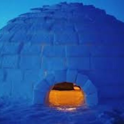 Timeline: კომპლექსური დავალება "იგლუ"