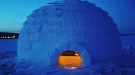 Timeline: კომპლექსური დავალება "იგლუ"