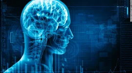 Timeline: Evolución del Sistema Nervioso