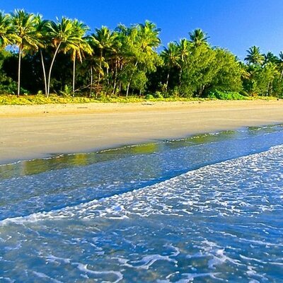 Timeline: წლის ხაზი🥰