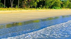 Timeline: წლის ხაზი🥰