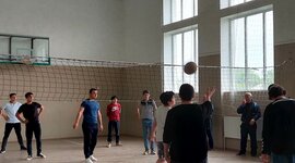 Timeline: საგრანტო პროექტი