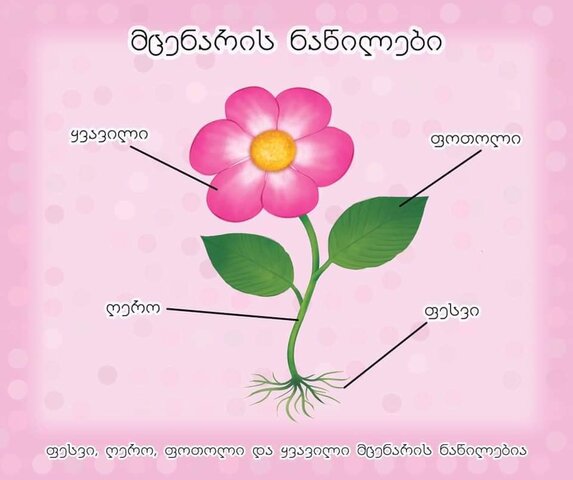 პროექტის დაწყება