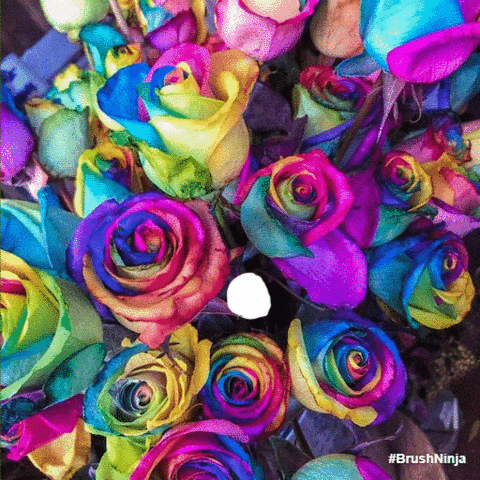 პრეზენტაციების ჩვენება