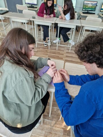 პროექტის დასასრული