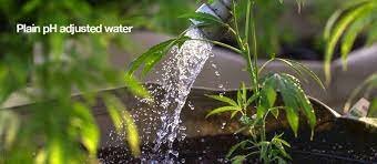 ლოგოს შექმნა