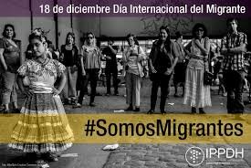 Decreto 1239 de 2003 protege los derechos de los migrantes