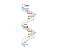 MEDICINA( Estructura ARN)