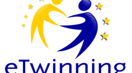 Timeline: პროექტი-2