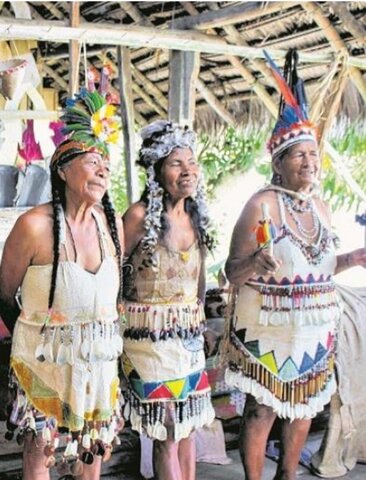 Población indígena