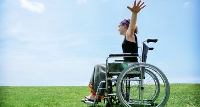 Ley estatutaria 1618