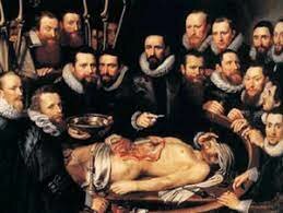 Primeres disseccions del cos humà