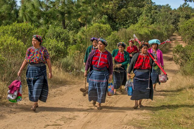 2019-2020: Aumento de la violencia en áreas rurales