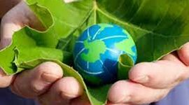 Timeline: Mov. Sociales ambientales y sociales en México