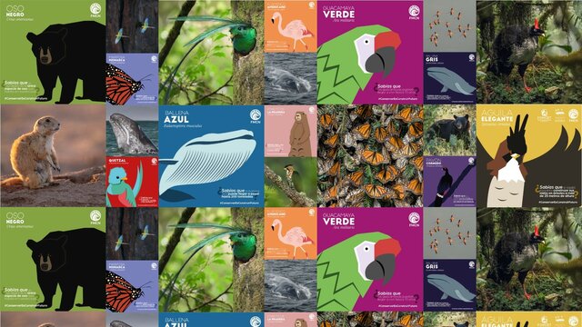 Movimiento Ecologista Mexicano, A.C.