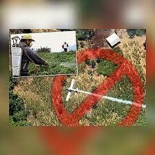 RESOLUCION 6 DE 2015