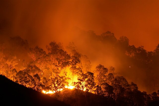 Incendio forestal de Australia