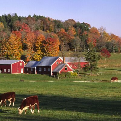 Timeline: project: "The Farm"