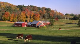 Timeline: project: "The Farm"