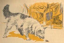 The beetle and the dog