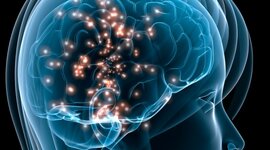 Timeline: ბიოლოგიის ისტორია