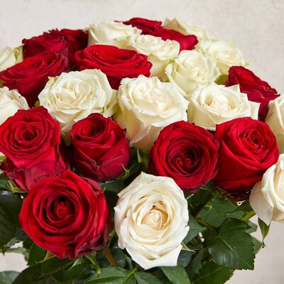 Timeline: პროექტის აქტივობები