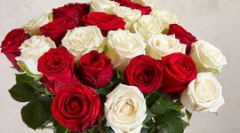 Timeline: პროექტის აქტივობები