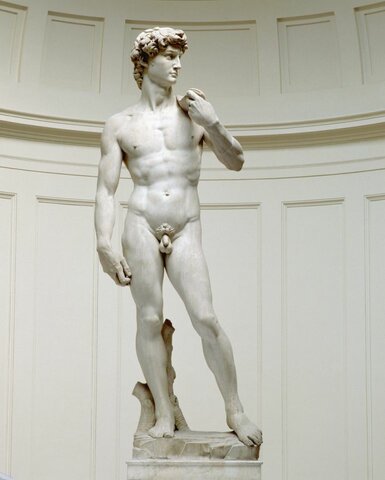 Creació del David de Michelangelo